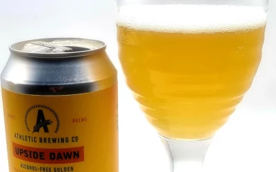 Upside Dawn Review