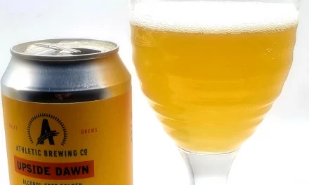 Upside Dawn Review