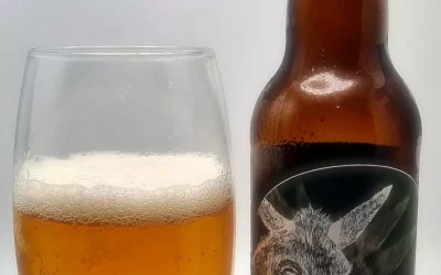 shrb 1835 lager review