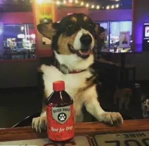 beer paws