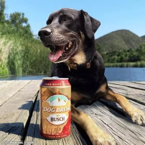 busch dog beer