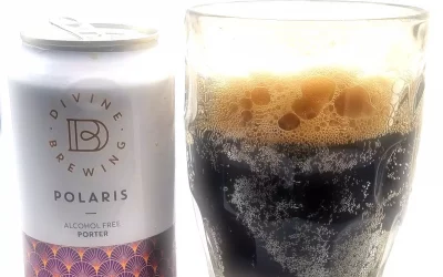 Polaris Porter Review