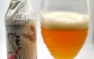 Snorkelers Sea Salt IPA Review