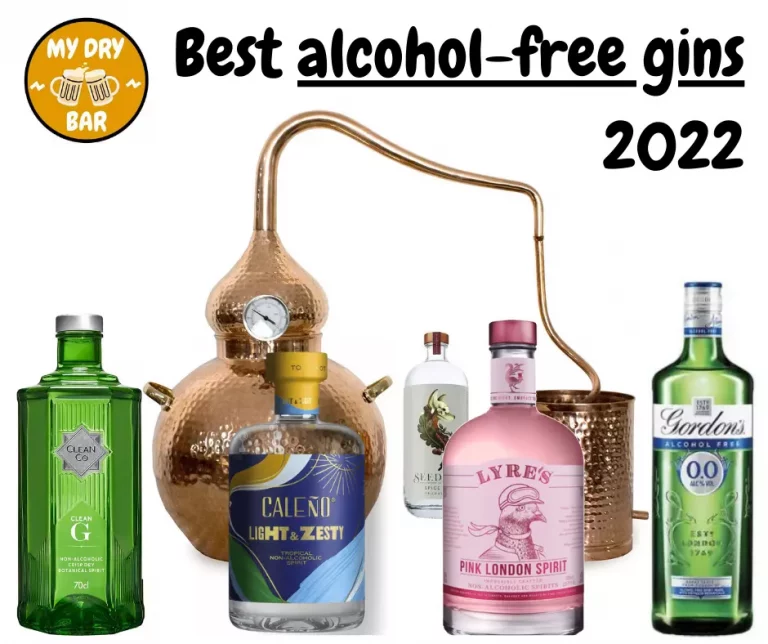 Best alcohol-free gin