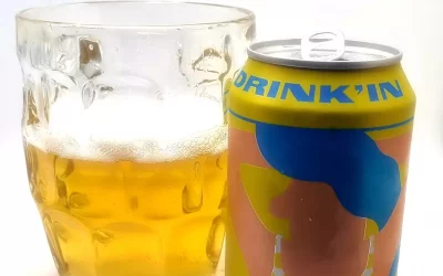 Drink In The Sun Ale Review