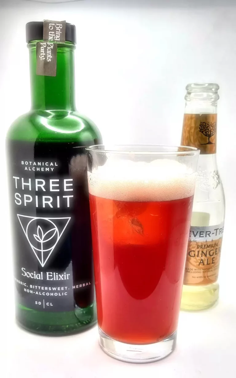 Three Spirit – Social Elixir Review