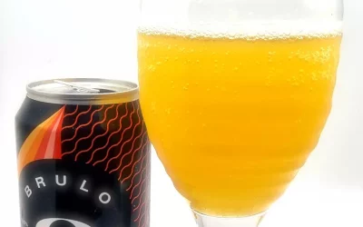 Brulo Five Fruit Gose Review