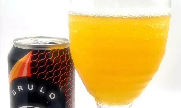 Brulo Gose Review
