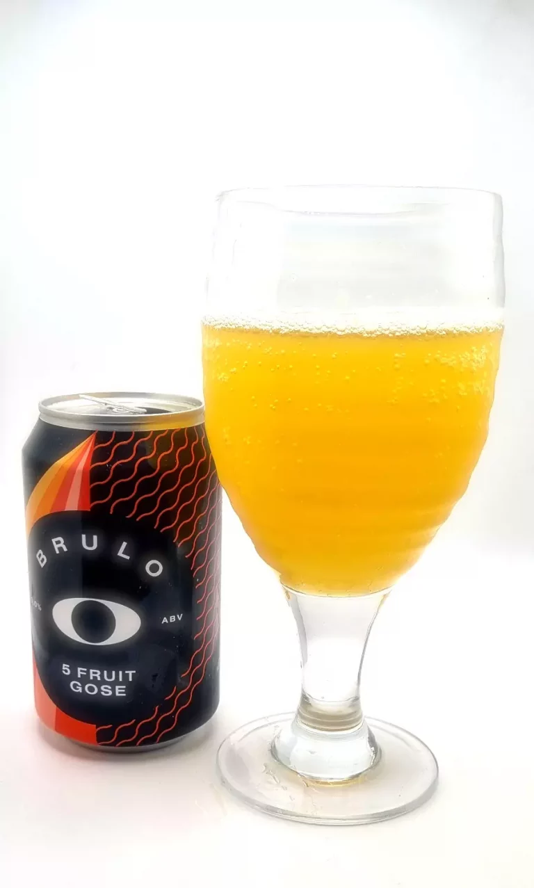 Brulo Five Fruit Gose Review