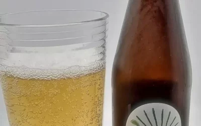 Loah alcohol-free beer review
