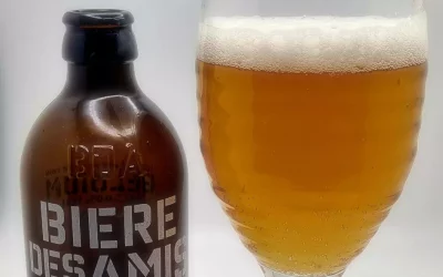 Biere Des Amis Review