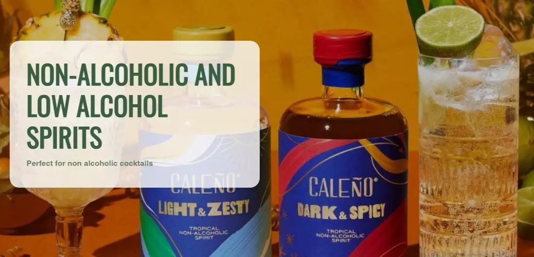 dry drinker alcohol-free spirits