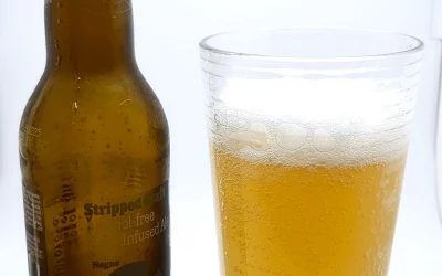 Nogne Alcohol-free Lime Ale Review