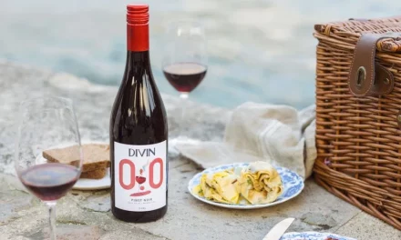 DIVIN Vigneron Alcohol-free Pinot Noir Review
