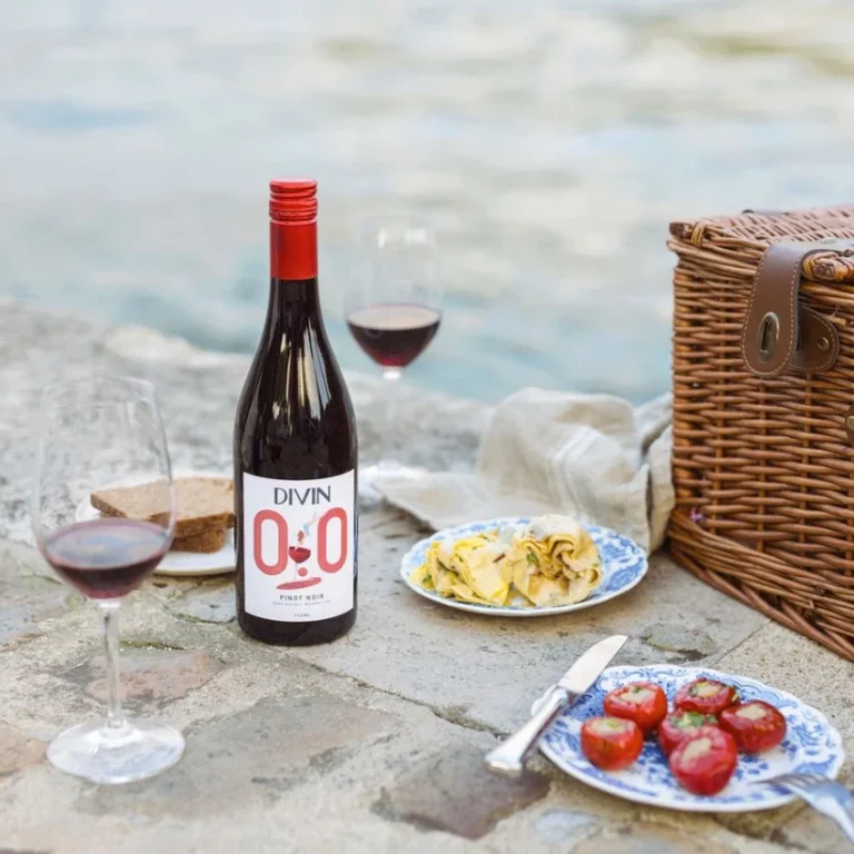 DIVIN Vigneron Alcohol-free Pinot Noir Review